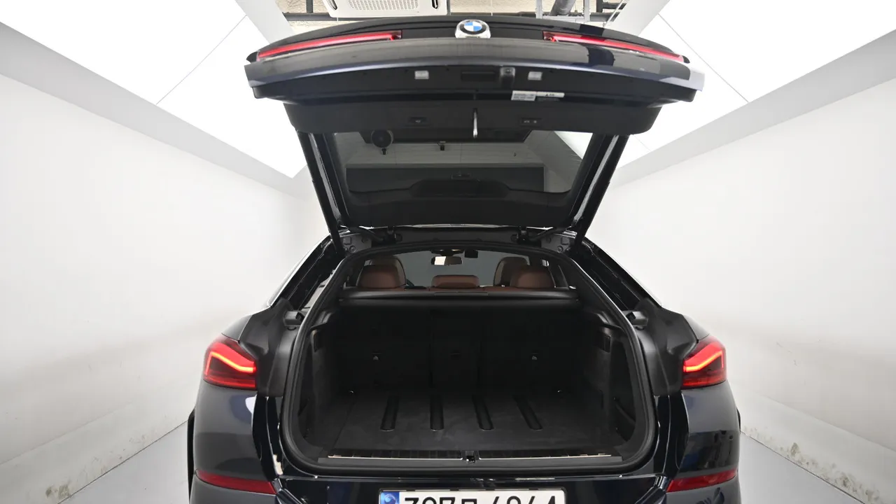BMW X6 — miniaturë 19