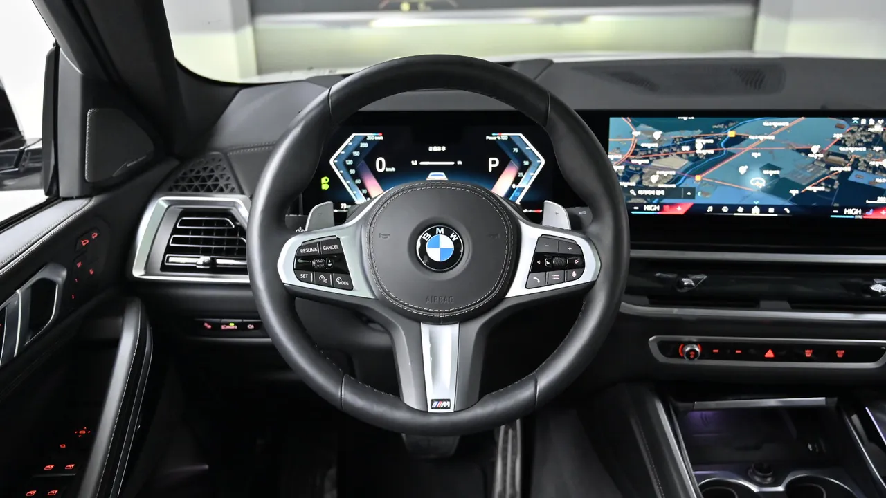 BMW X6 — miniaturë 31