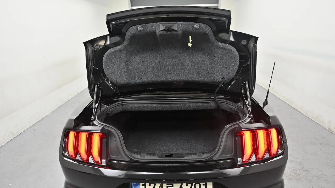 Ford Mustang — miniaturë 18