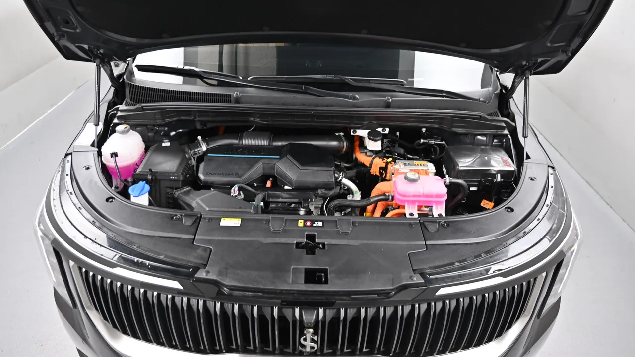 Kia Carnival — miniaturë 28