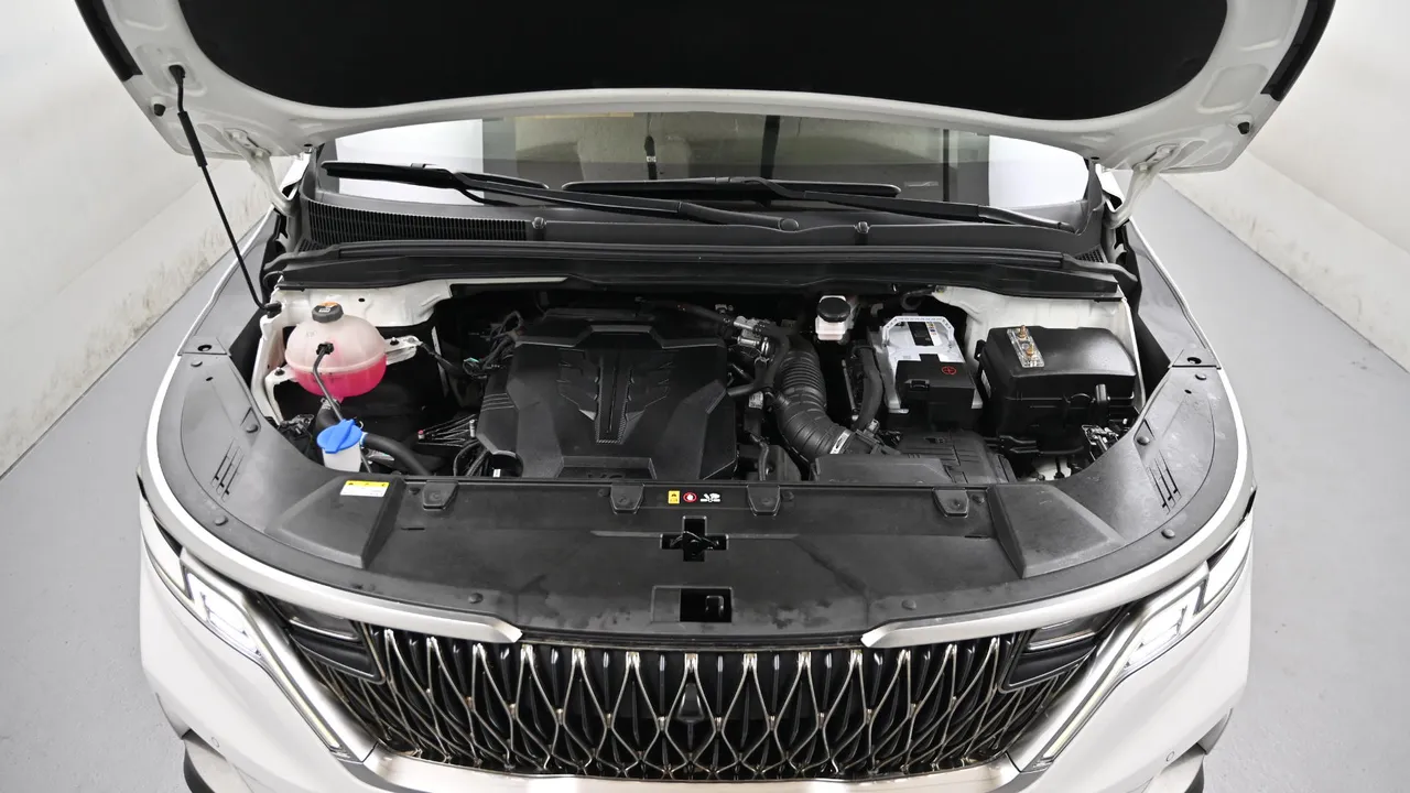 Kia Carnival — miniaturë 6