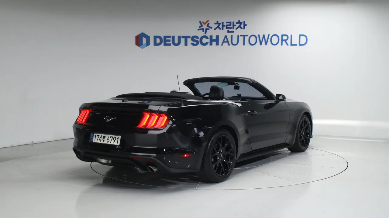 Ford Mustang — miniaturë 2