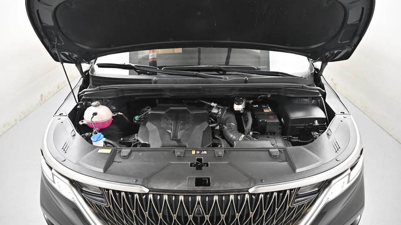 Kia Carnival — miniaturë 6