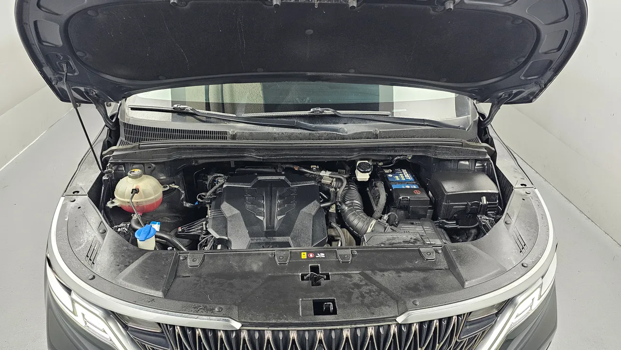 Kia Carnival — miniaturë 6
