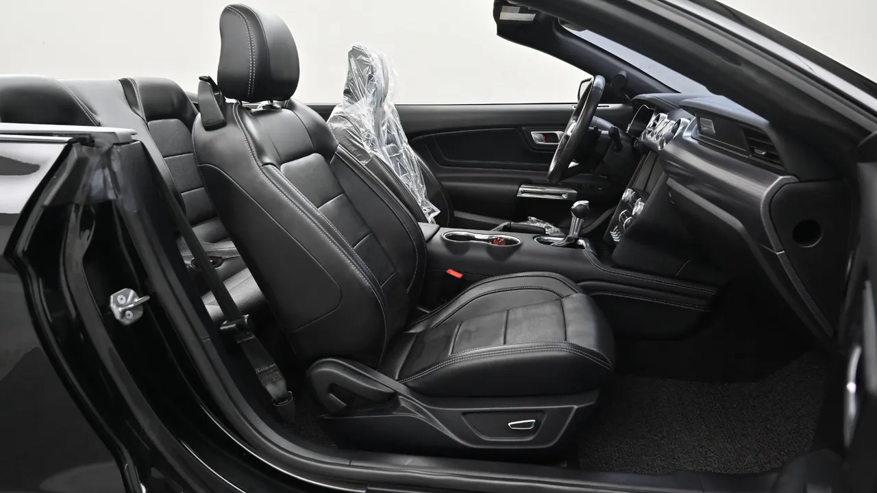 Ford Mustang — miniaturë 10