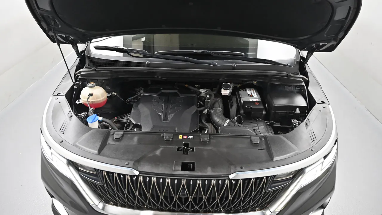 Kia Carnival — miniaturë 6