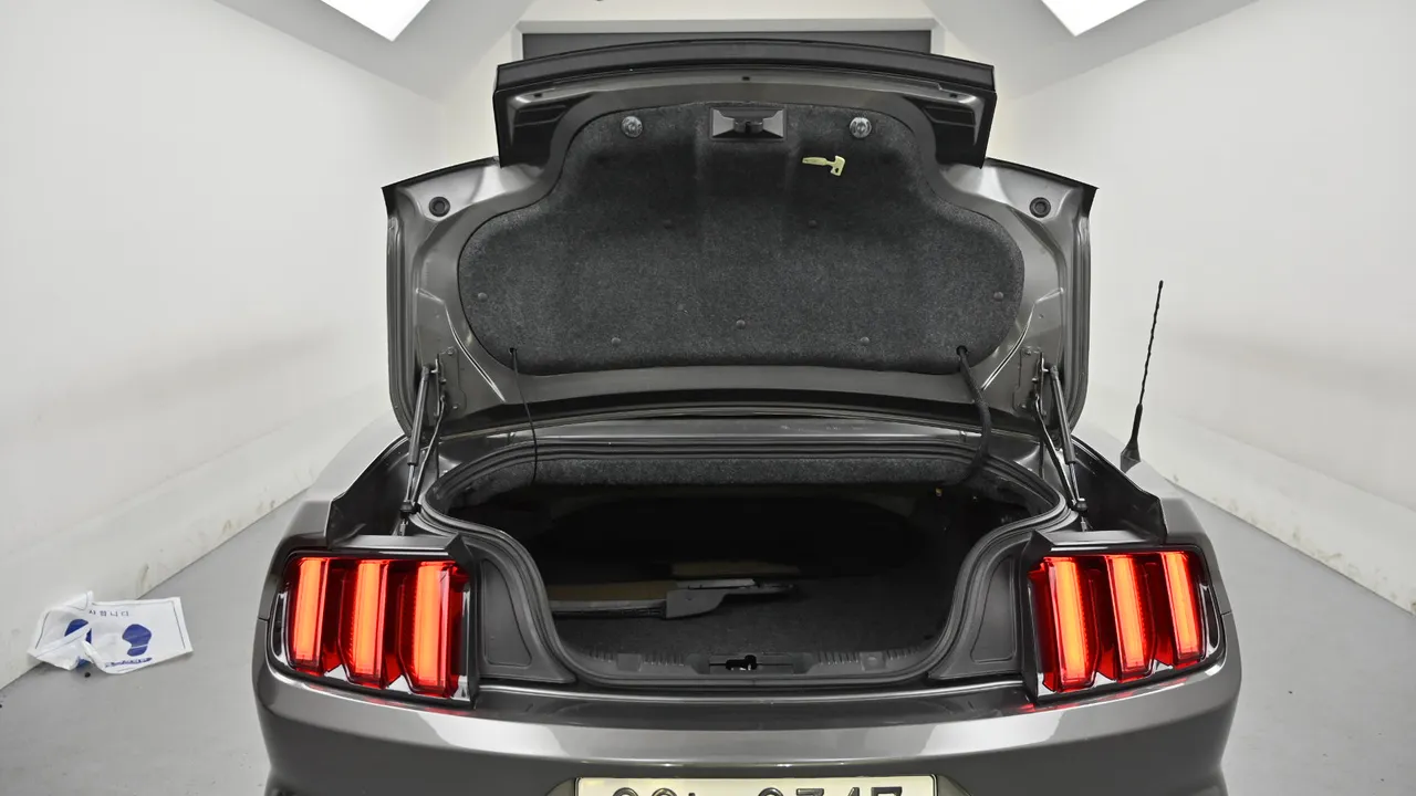 Ford Mustang — miniaturë 27