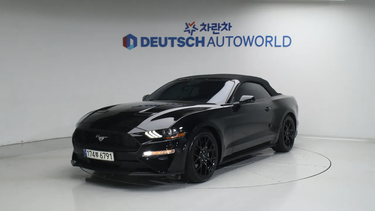 Ford Mustang — miniaturë 20