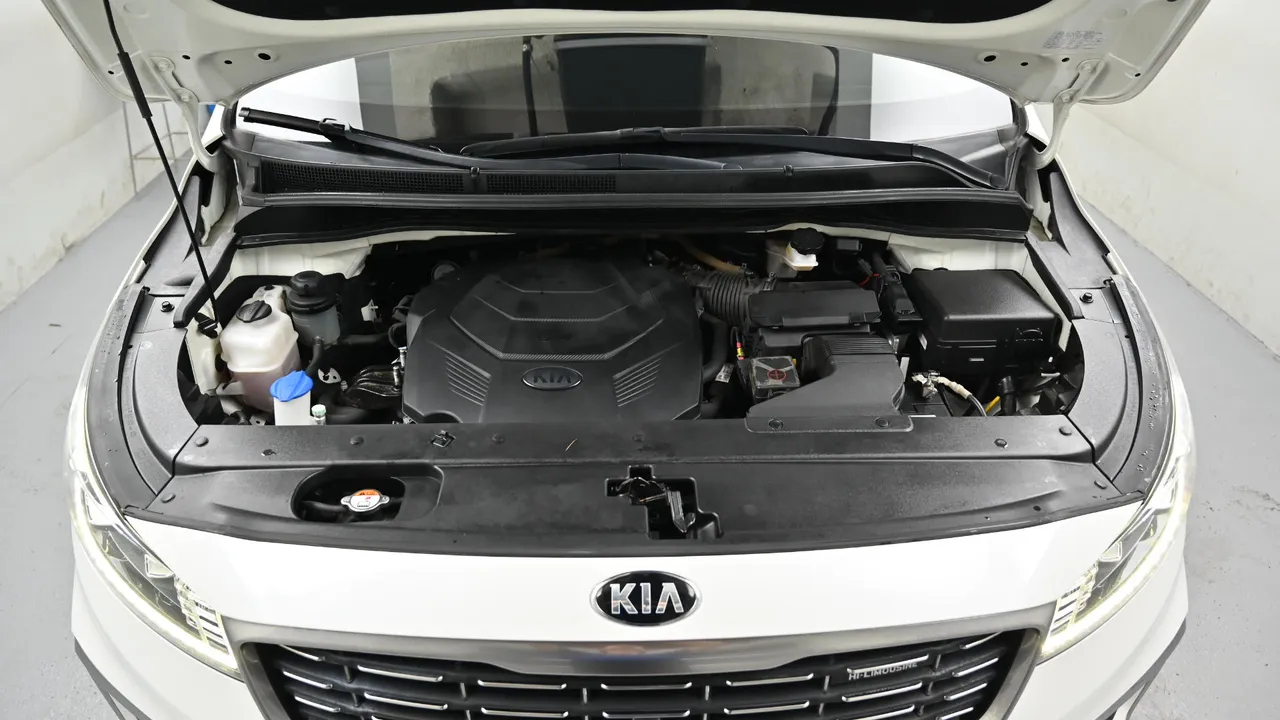 Kia Carnival — miniaturë 6