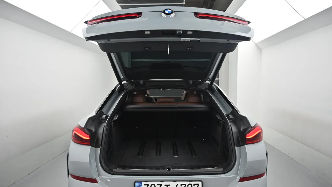 BMW X6 — miniaturë 19