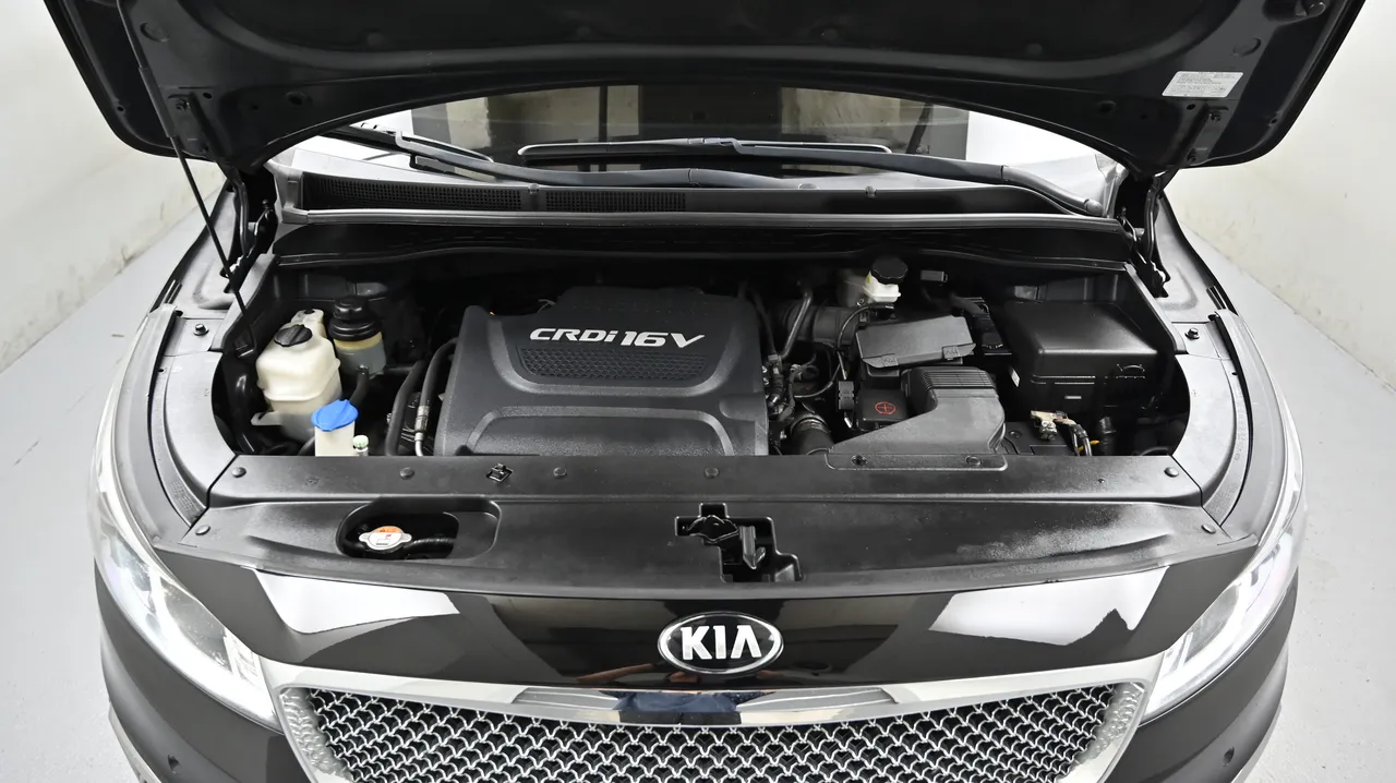 Kia Carnival — miniaturë 6