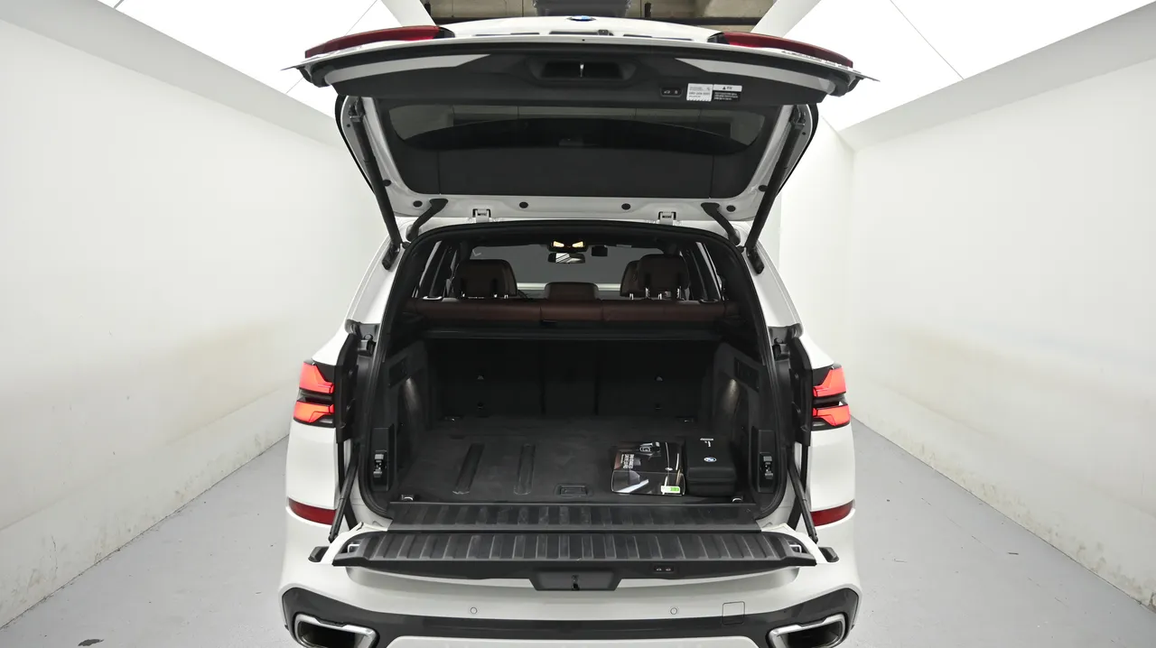 BMW X5 — miniaturë 29