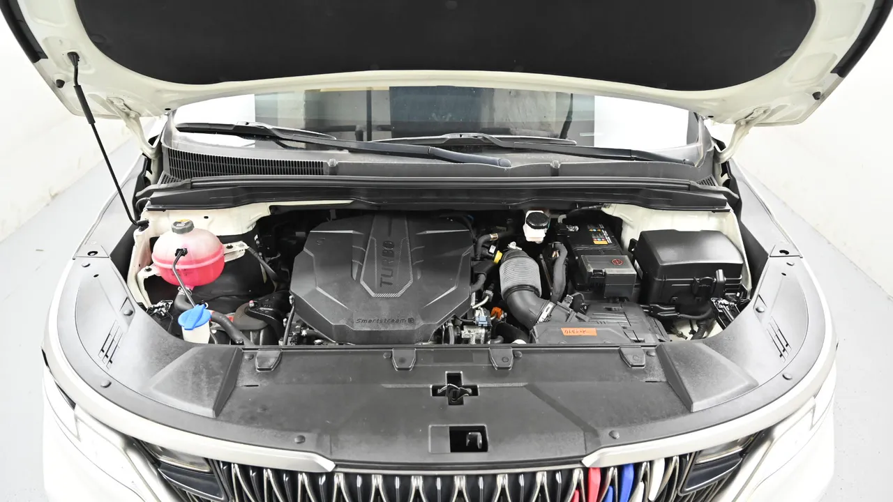 Kia Carnival — miniaturë 6