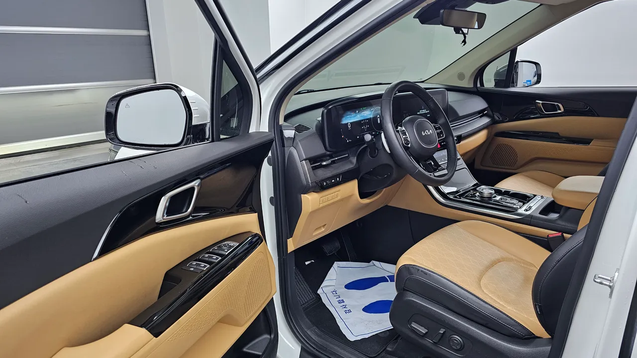 Kia Carnival — miniaturë 11