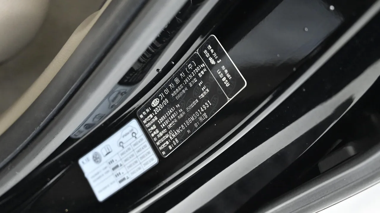 Kia Carnival — miniaturë 20
