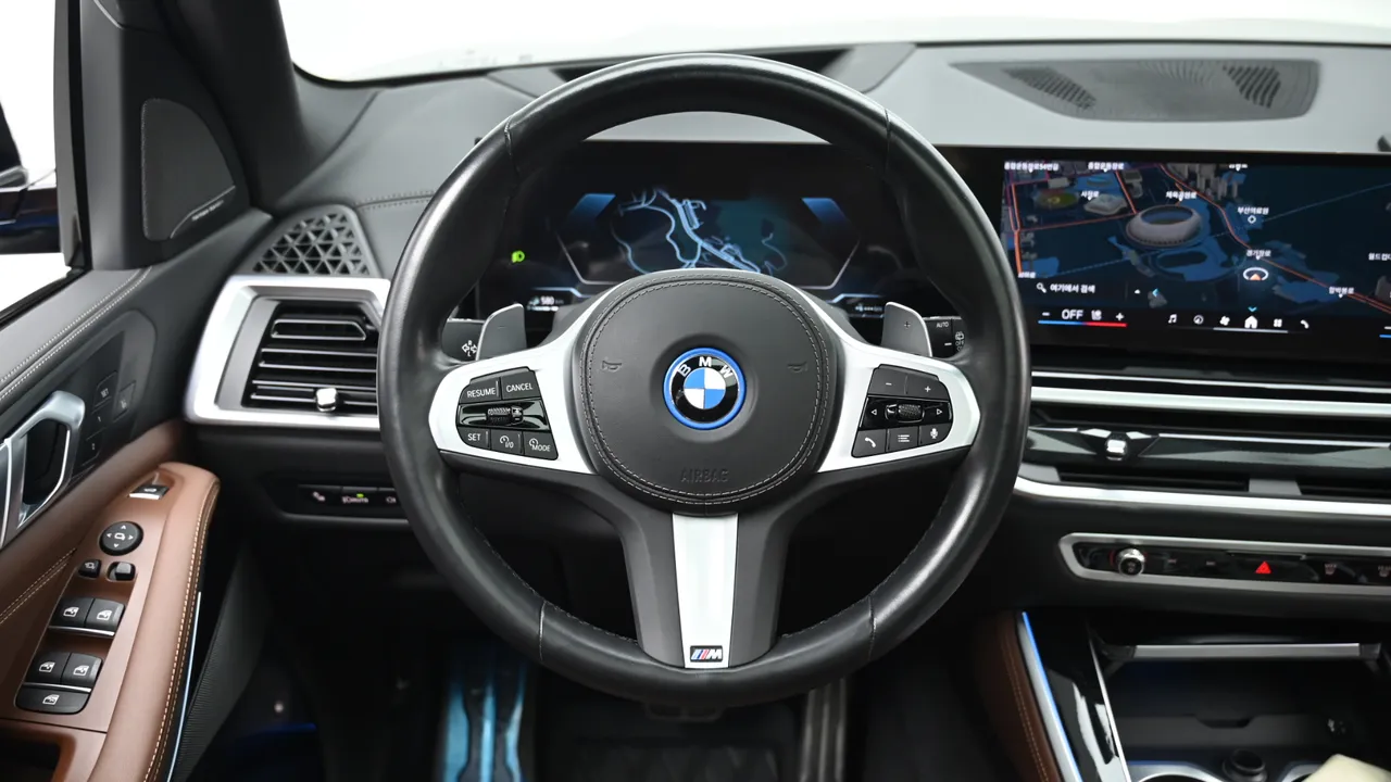 BMW X5 — miniaturë 31