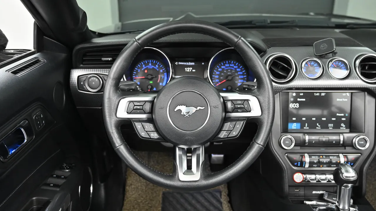 Ford Mustang — miniaturë 22