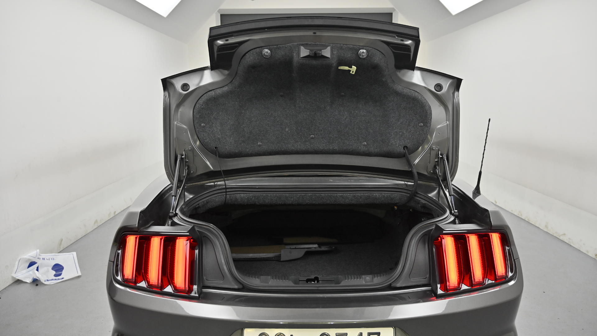 Ford Mustang — miniaturë 18