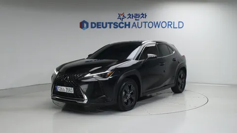 시승기 속 차량 - 렉서스 UX 250h 2WD 