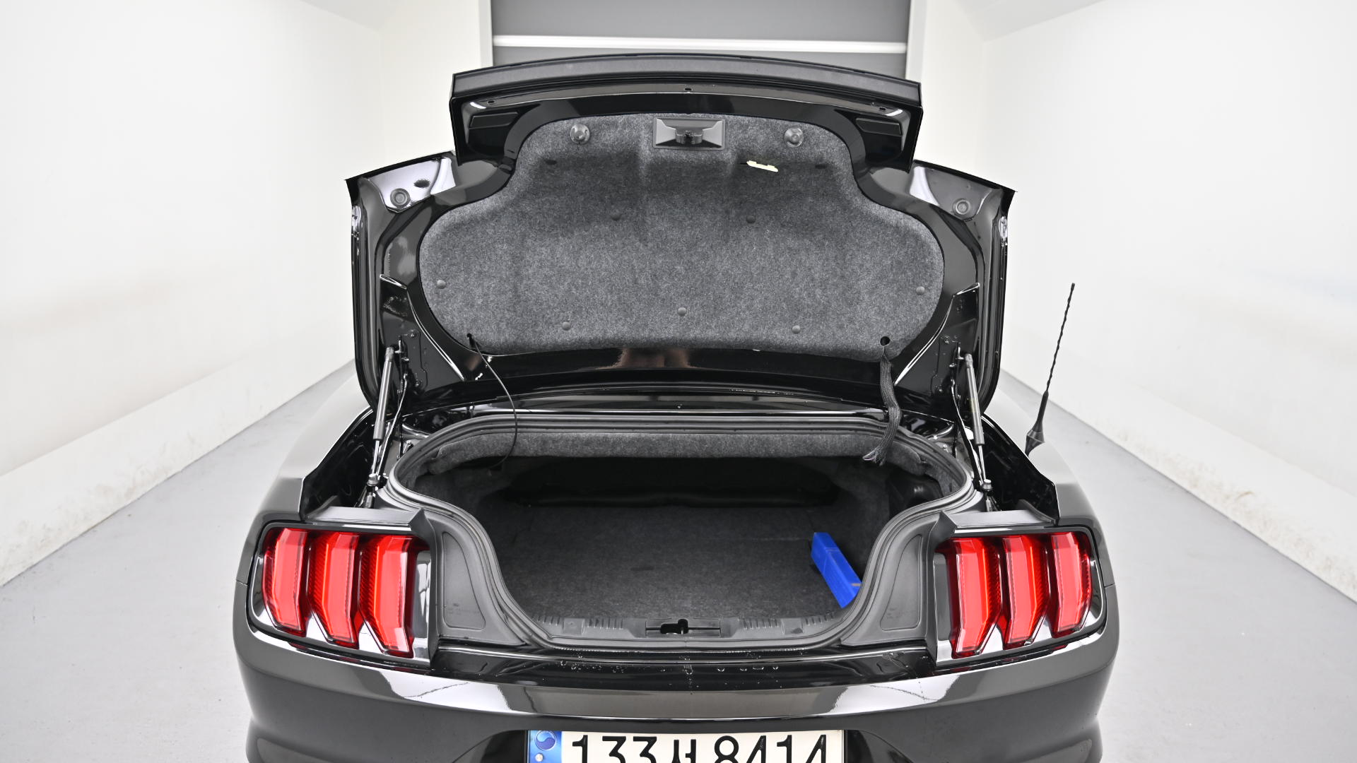 Ford Mustang — miniaturë 18